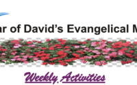 Weekly Actvities3 Stardem